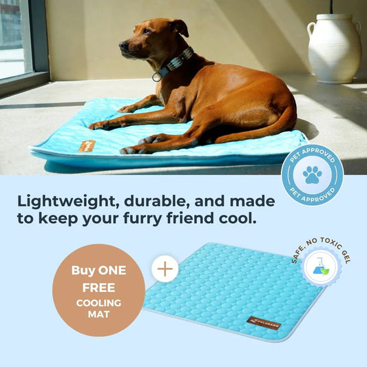 Cooling Pet Mat